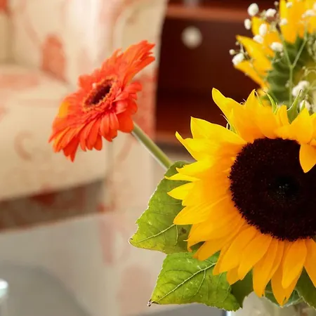 Sophia Loft & شقة