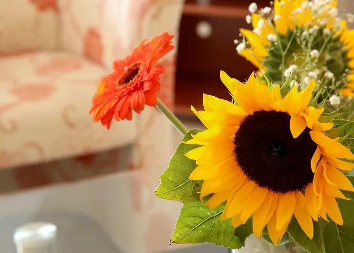 Sophia Loft & Apartmán